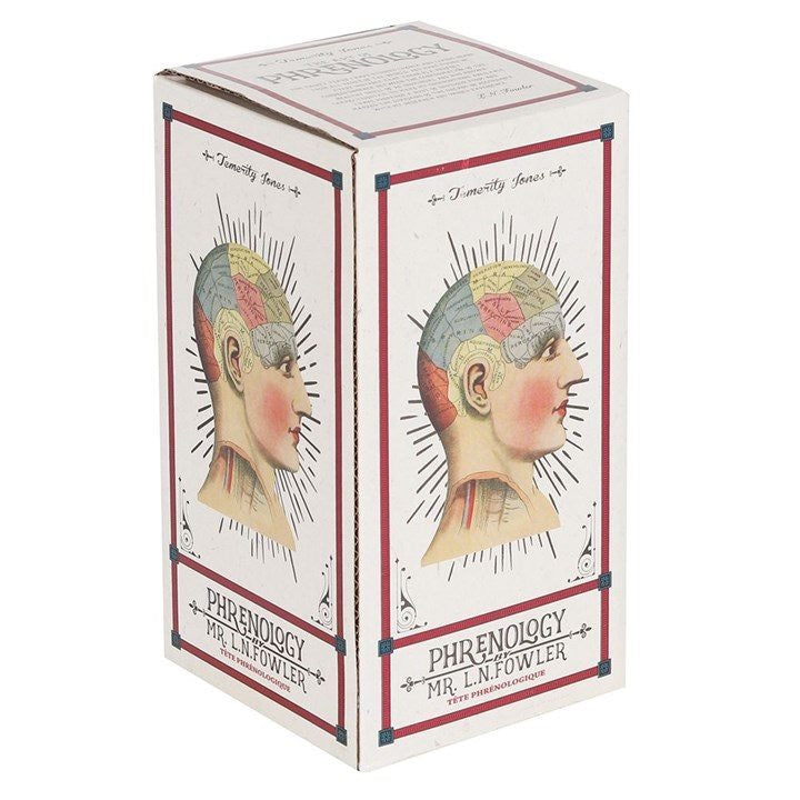 Small Crackle Phrenology Head Ornament