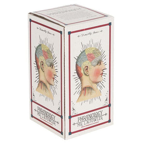 Small Crackle Phrenology Head Ornament