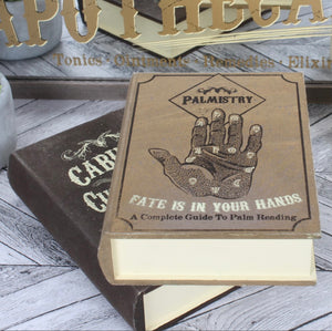 Curiosities Storage Book Box